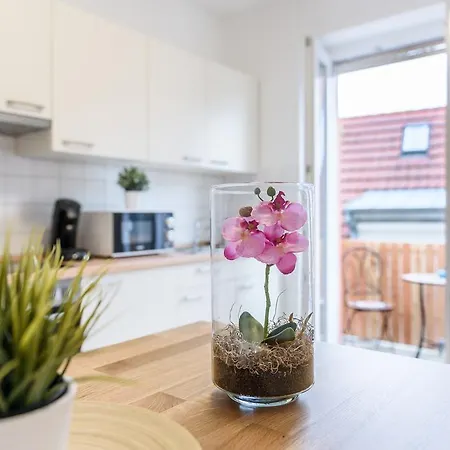 Apartment Deluxe Mit Schlossbergblick Freiburg im Breisgau